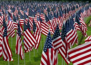 field of american flags